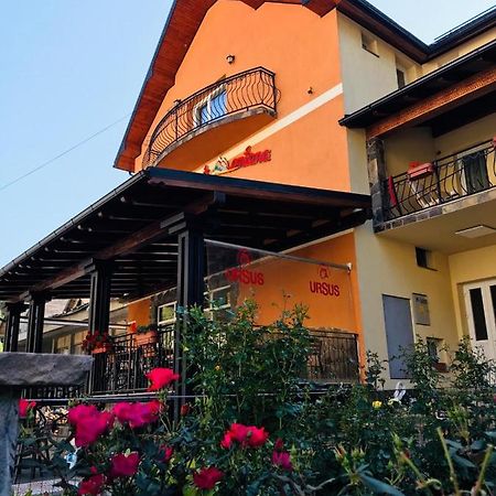 Pensiunea Montana Borsa Mm Băile Borşa Zewnętrze zdjęcie
