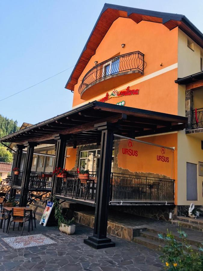 Pensiunea Montana Borsa Mm Băile Borşa Zewnętrze zdjęcie