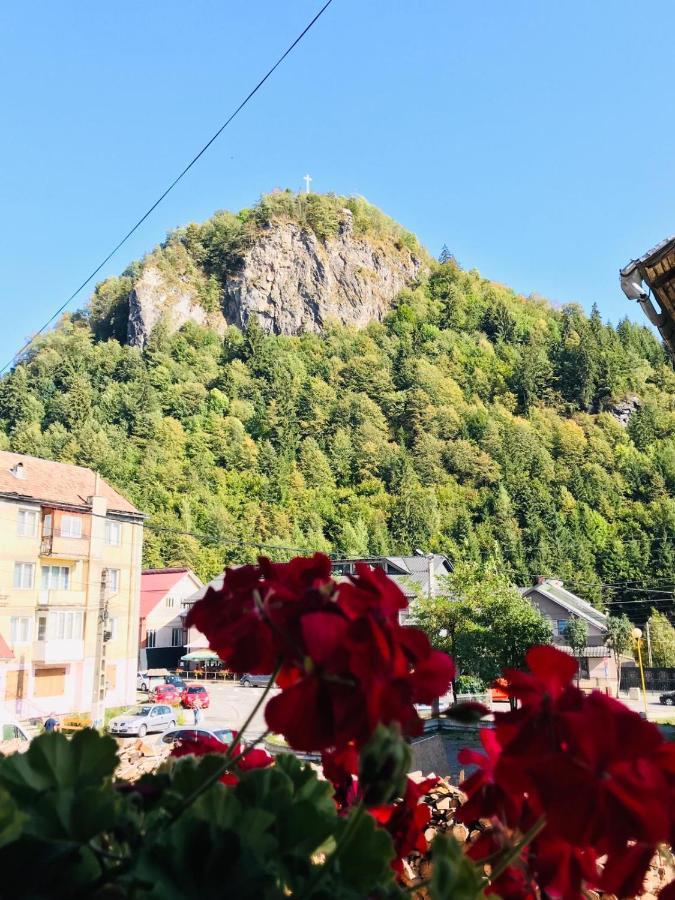 Pensiunea Montana Borsa Mm Băile Borşa Zewnętrze zdjęcie