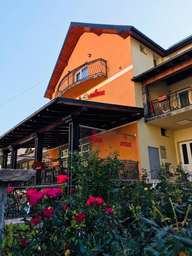 Pensiunea Montana Borsa Mm Băile Borşa Zewnętrze zdjęcie